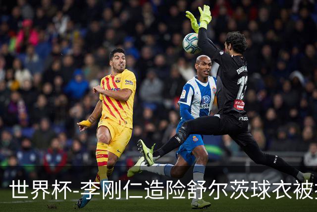 世界杯-李刚仁造险舒尔茨球衣被撕烂 半场韩国0-0捷克